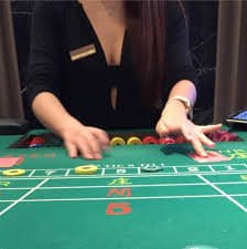 Sports and casino-style entertainment panels for adult users